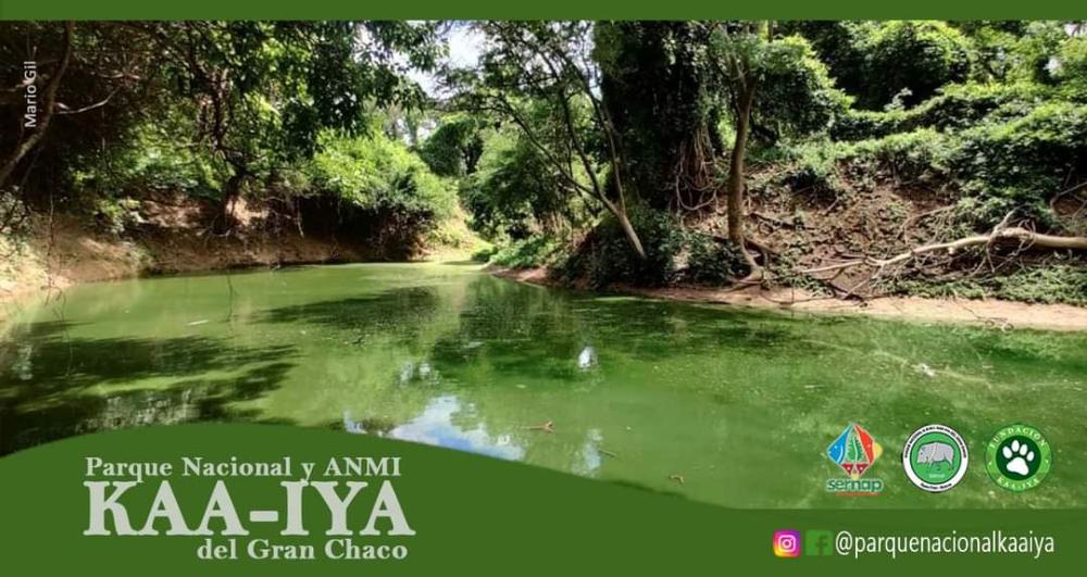 Parque Nacional ANMI Kaa Iya del Gran Chaco | Gota del Chaco